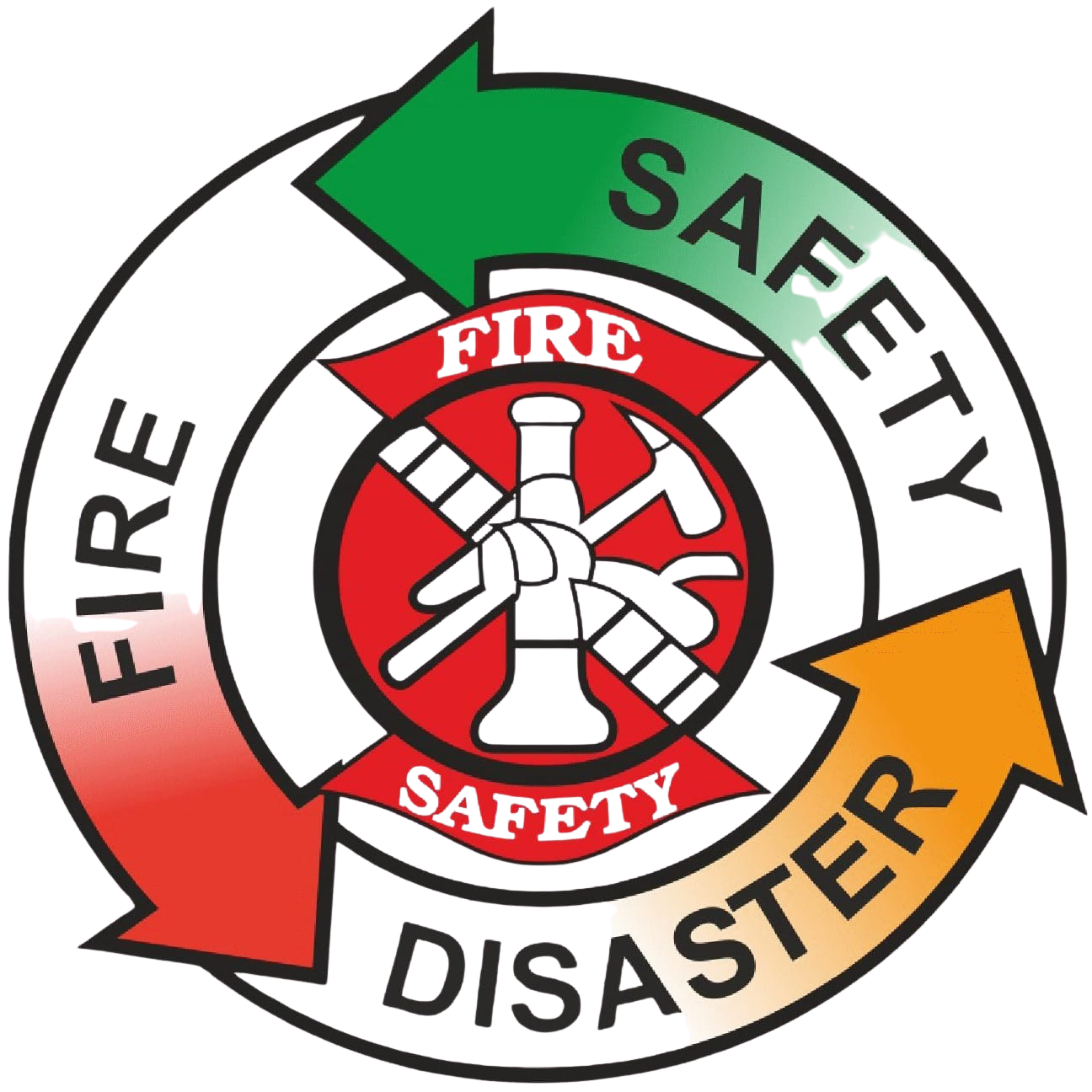 NIFS emblem